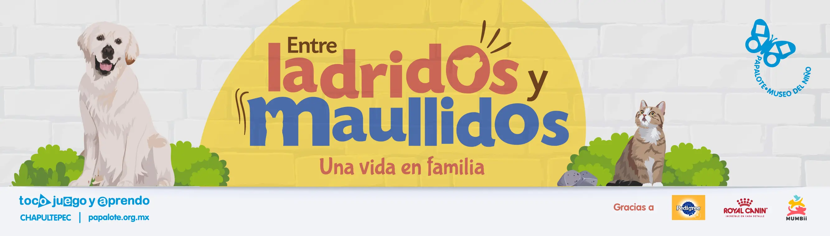 Banner promocional de Papalote Museo del Niño